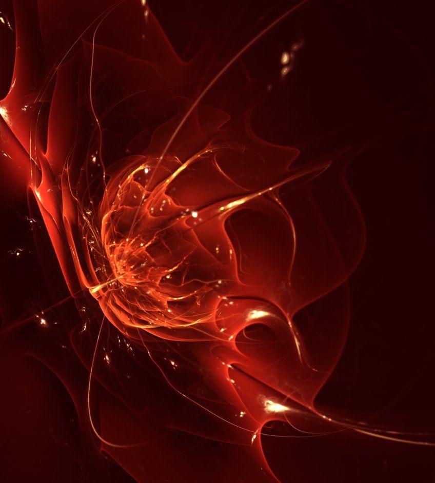 848x942 Other. Image: Blood Red Rose Wallpaper
