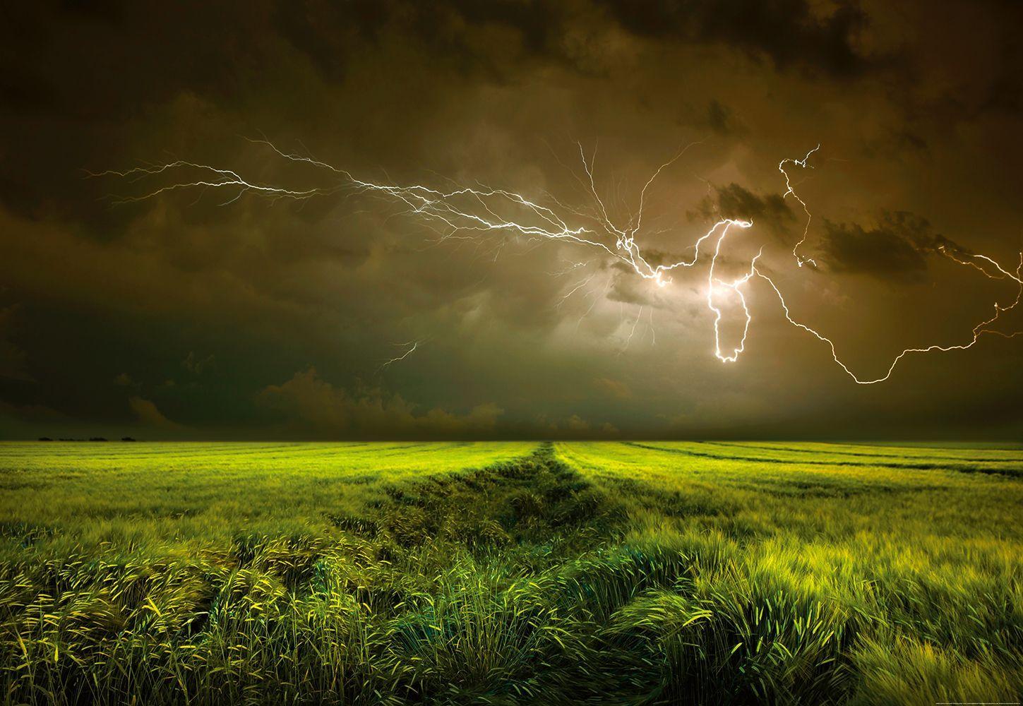 1449x1000 Hình nền ảnh Lightning And Thunder