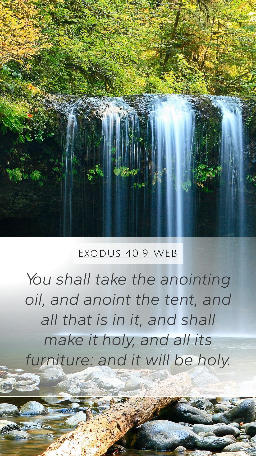 Anointing Wallpapers - Top Free Anointing Backgrounds - WallpaperAccess