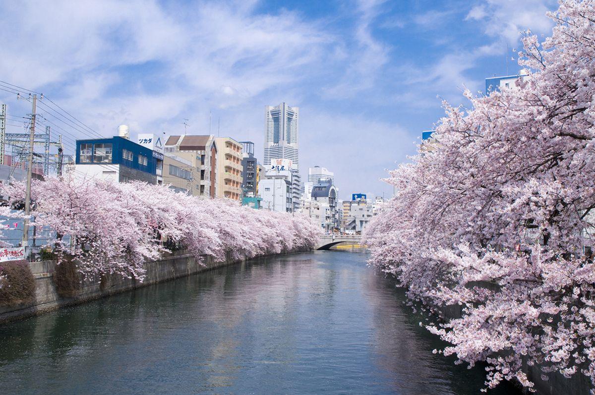 1200x797 Yokohama wallpaper, Man Made, HQ Yokohama pictureK Wallpaper