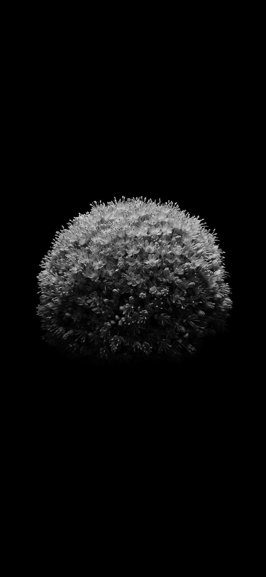 1080x2340 Discover white amoled wallpaper latest.edu.vn