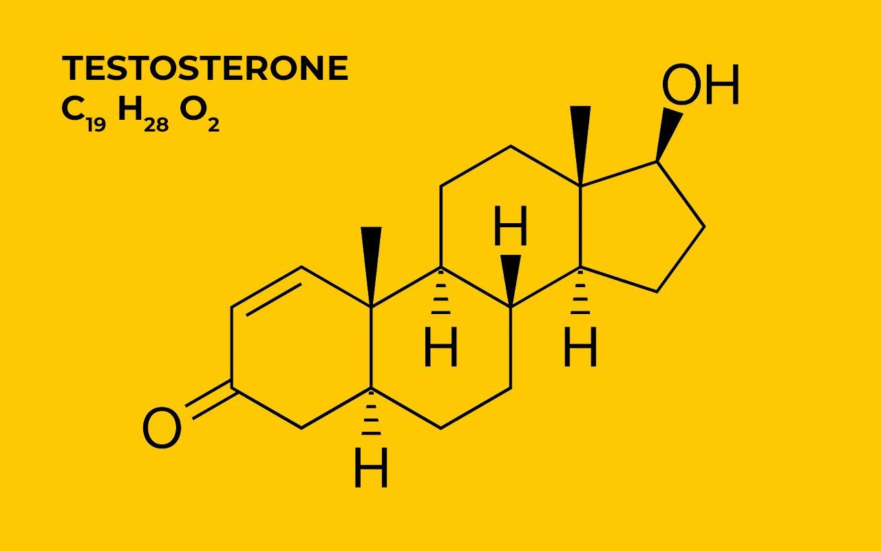 Testosterone Wallpapers - Top Free Testosterone Backgrounds ...