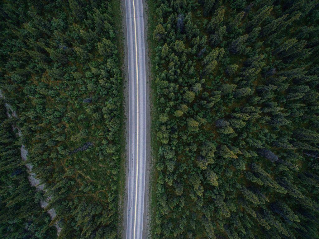 1024x768 Adventure + Camping Stories: The Best of The Dyrt 2017
