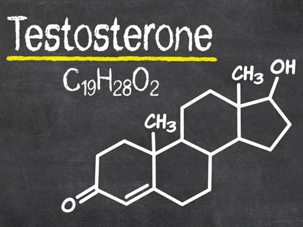 Testosterone Wallpapers - Top Free Testosterone Backgrounds ...