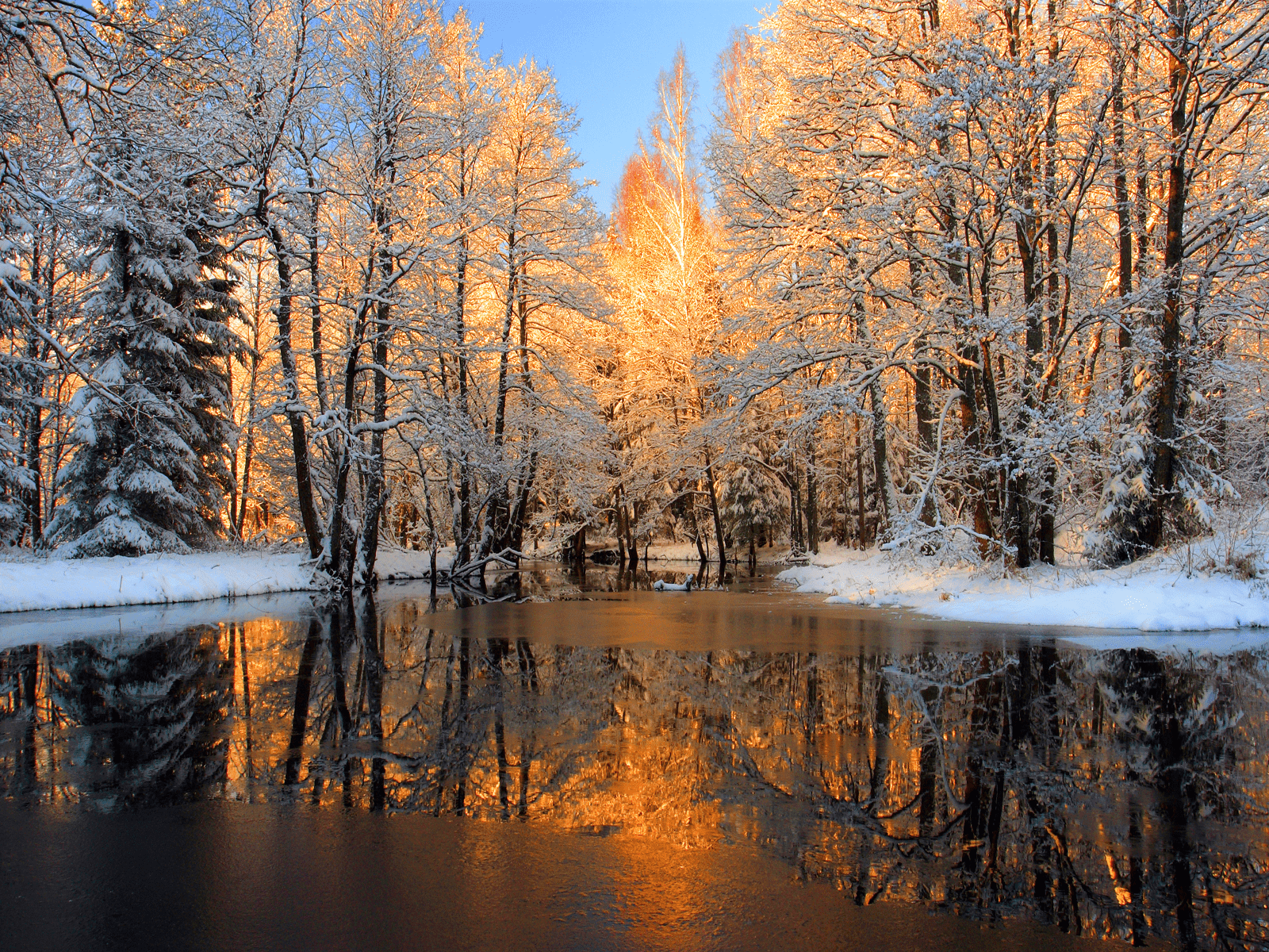 1600x1200 Snow glow Nexus Wallpaper. Free winter wallpaper, Winter wallpaper, Snow