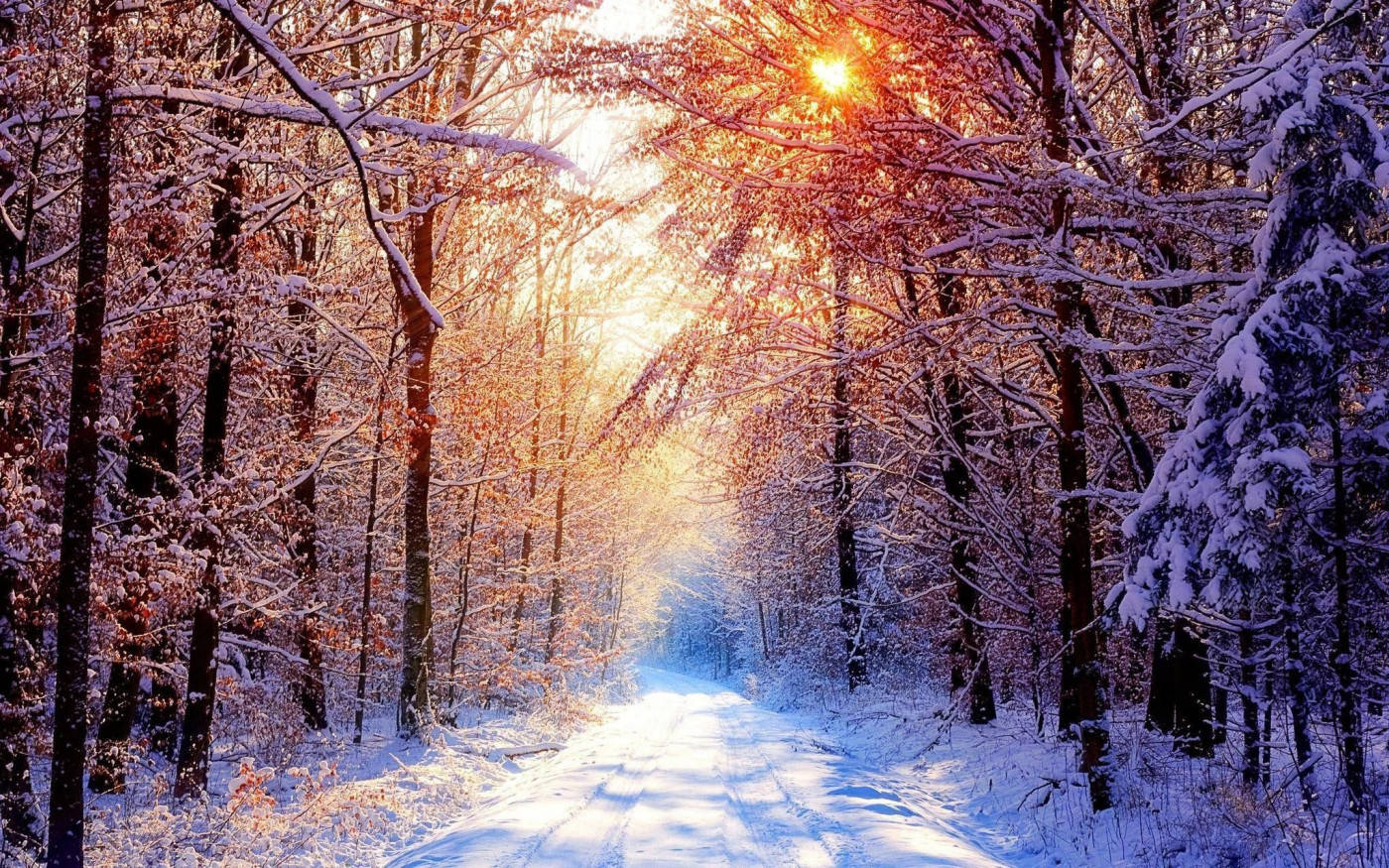 1400x875 Download Winter Scene Warm Sun Wallpaper
