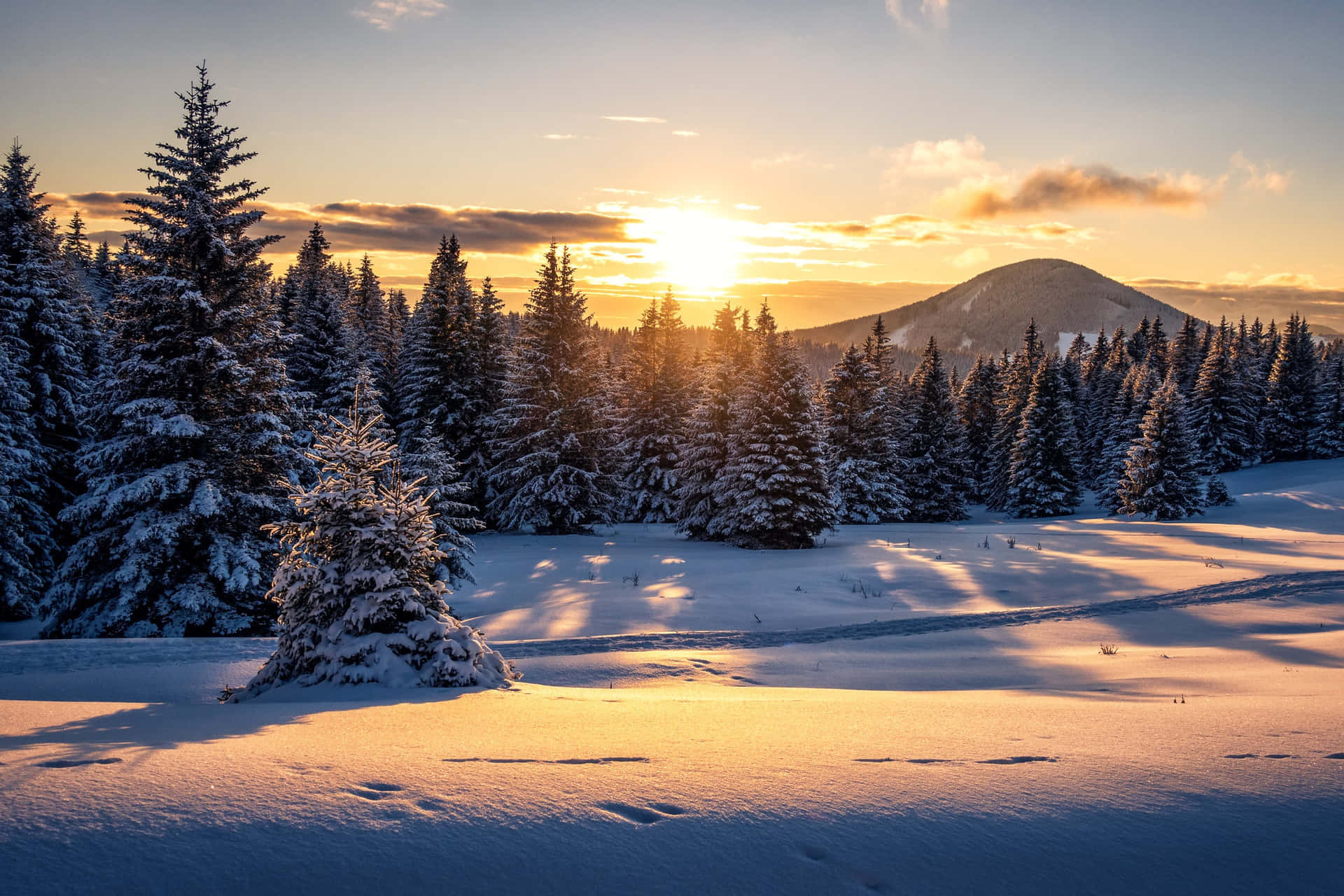 1920x1280 Download A Warm Winter Sunset Wallpaper