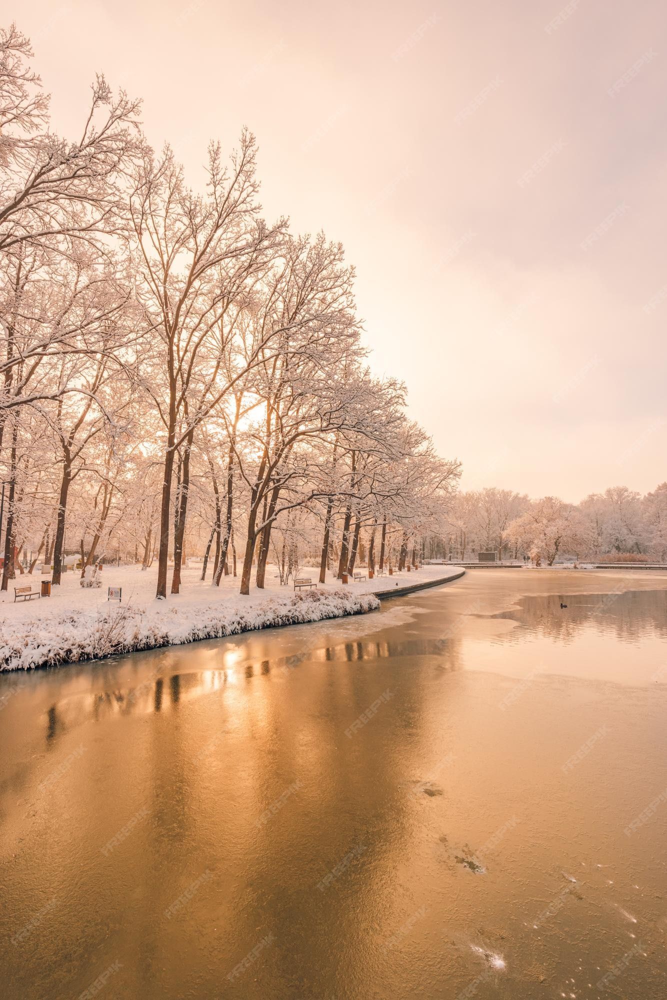 1334x2000 Premium Photo. Idyllic winter lake vertical panorama. soft sunlight, icy water, tree silhouette warm sunset light