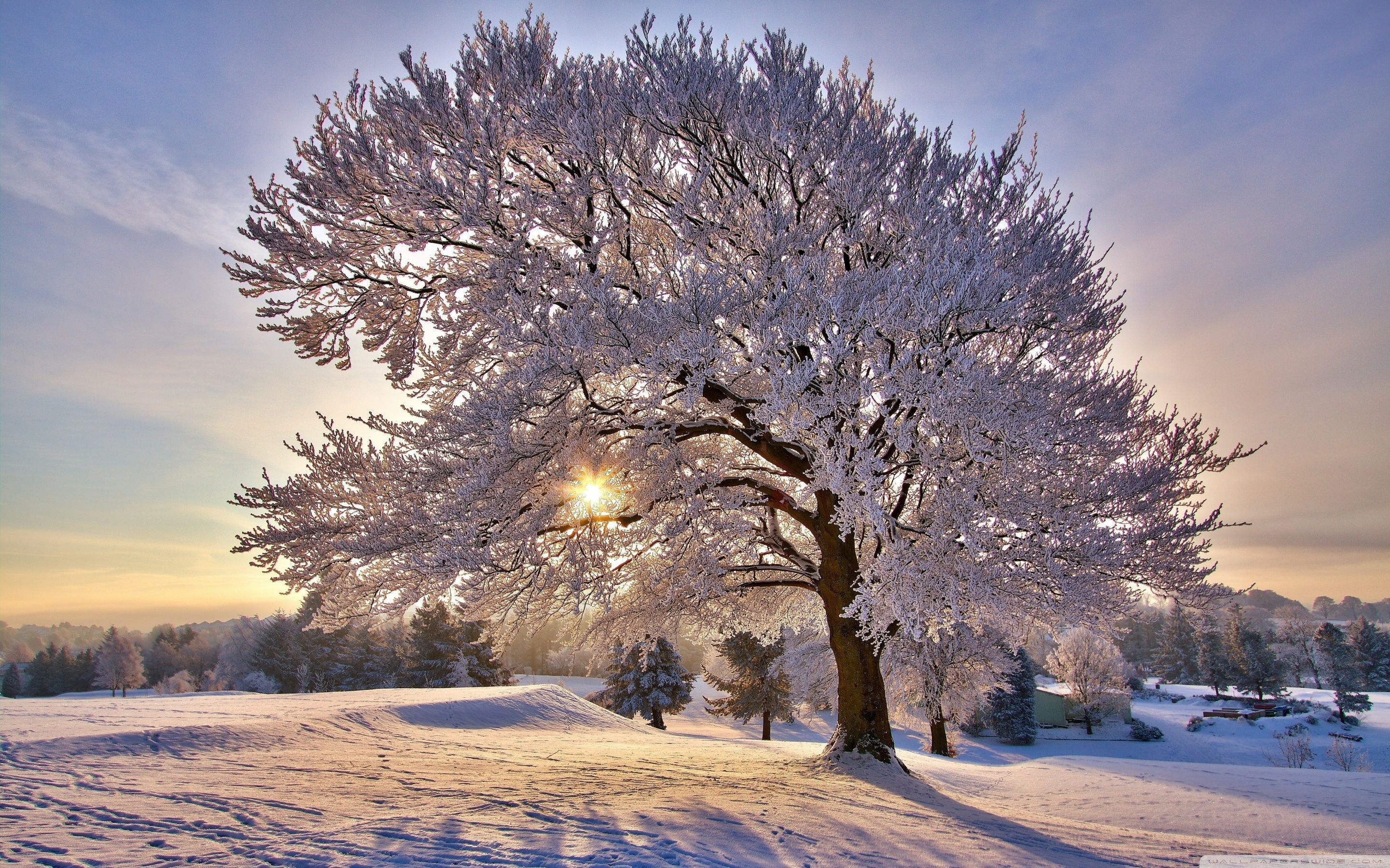 2880x1800 Beautiful Winter Morning Ultra HD Desktop Background Wallpaper for 4K UHD TV : Multi Display, Dual Monitor : Tablet