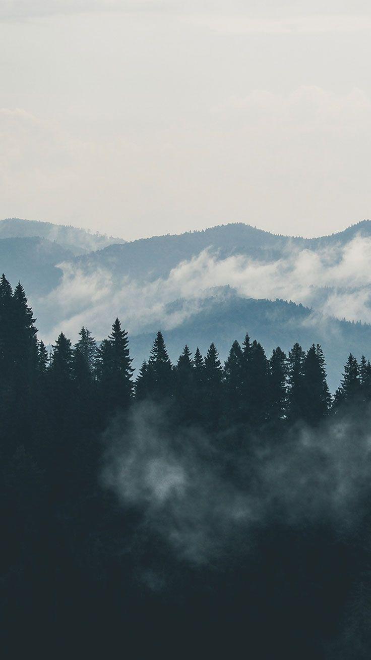 736x1308 Adventurous Forest & Mountain iPhone 7 Wallpaper. Wallpaper