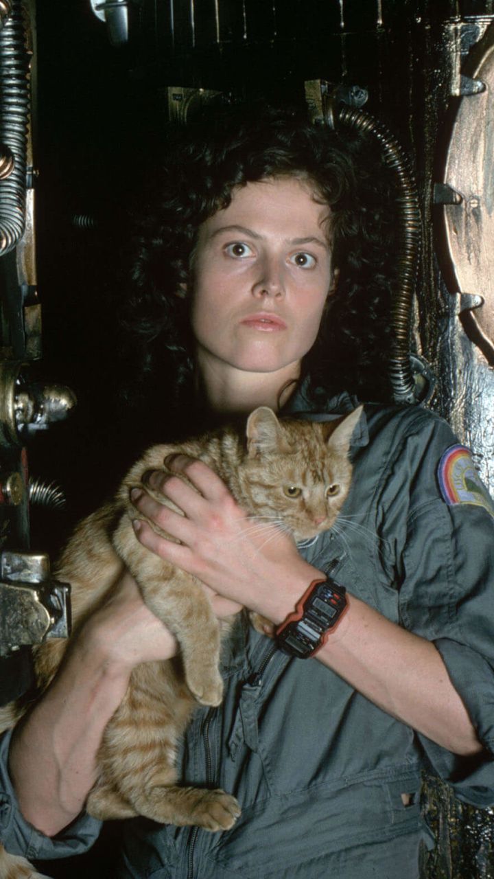 720x1280 Mobile wallpaper: Alien, Cat, Movie, Sigourney Weaver, Ellen Ripley, 1171039 download the picture for free