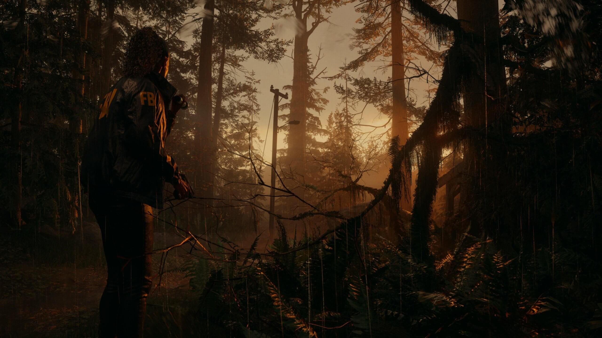 2560x1440 Never before seen gameplay footage of Alan Wake 2 leaks online