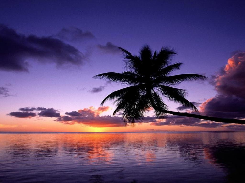 1024x768 purple sunset wallpaper 1