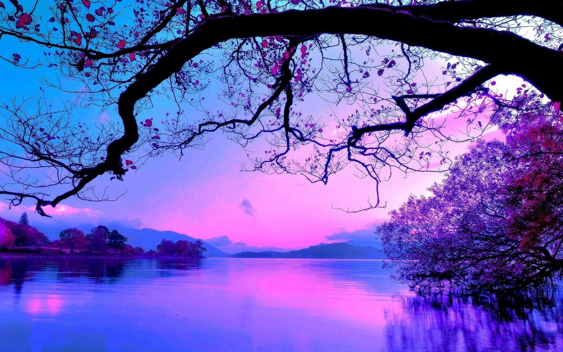 1920x1200 purple sunset wallpaper