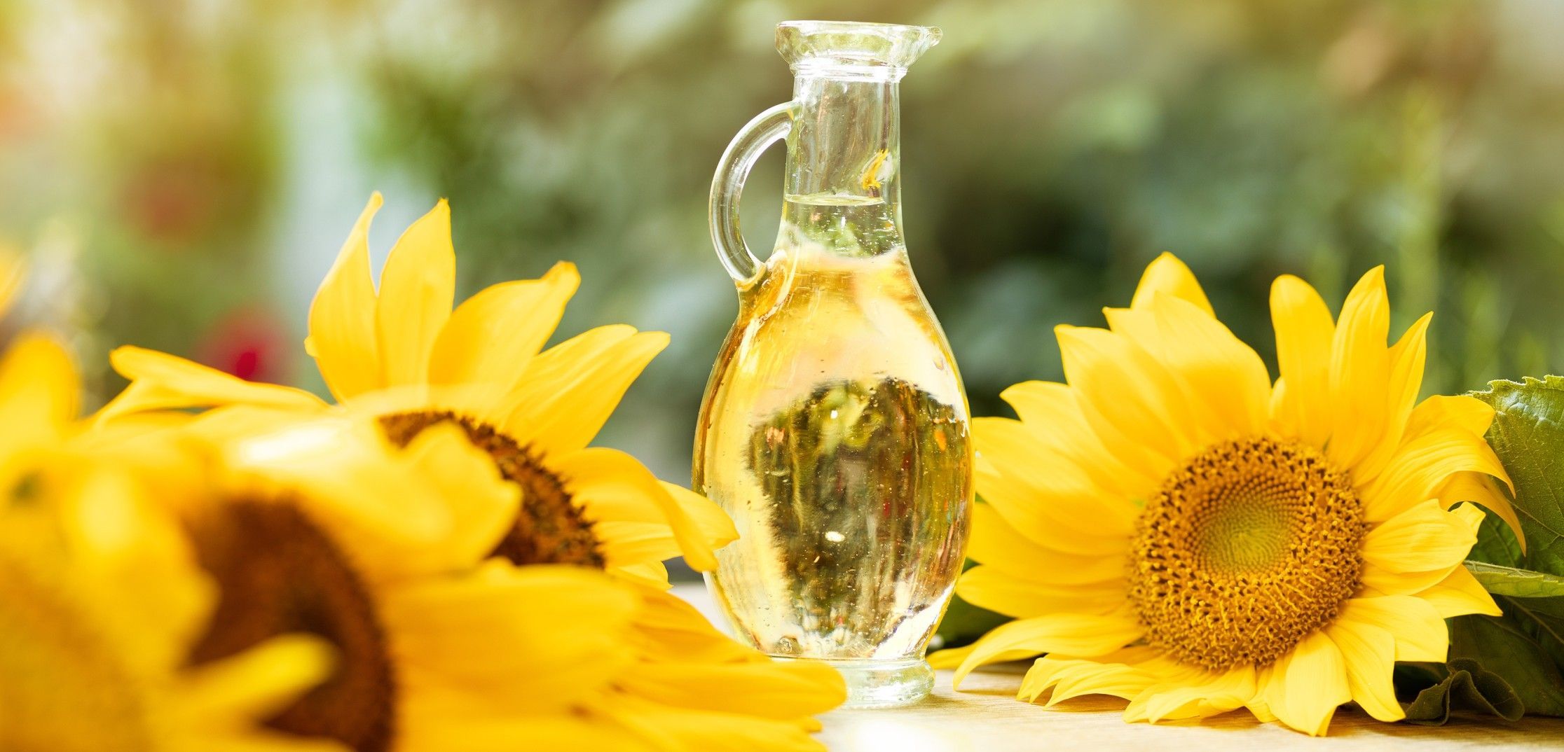 Breathtaking Sunflower Oil For Hair Moment Digital Art Breathtaking Sunflower Oil For Hair Moment Digital Art