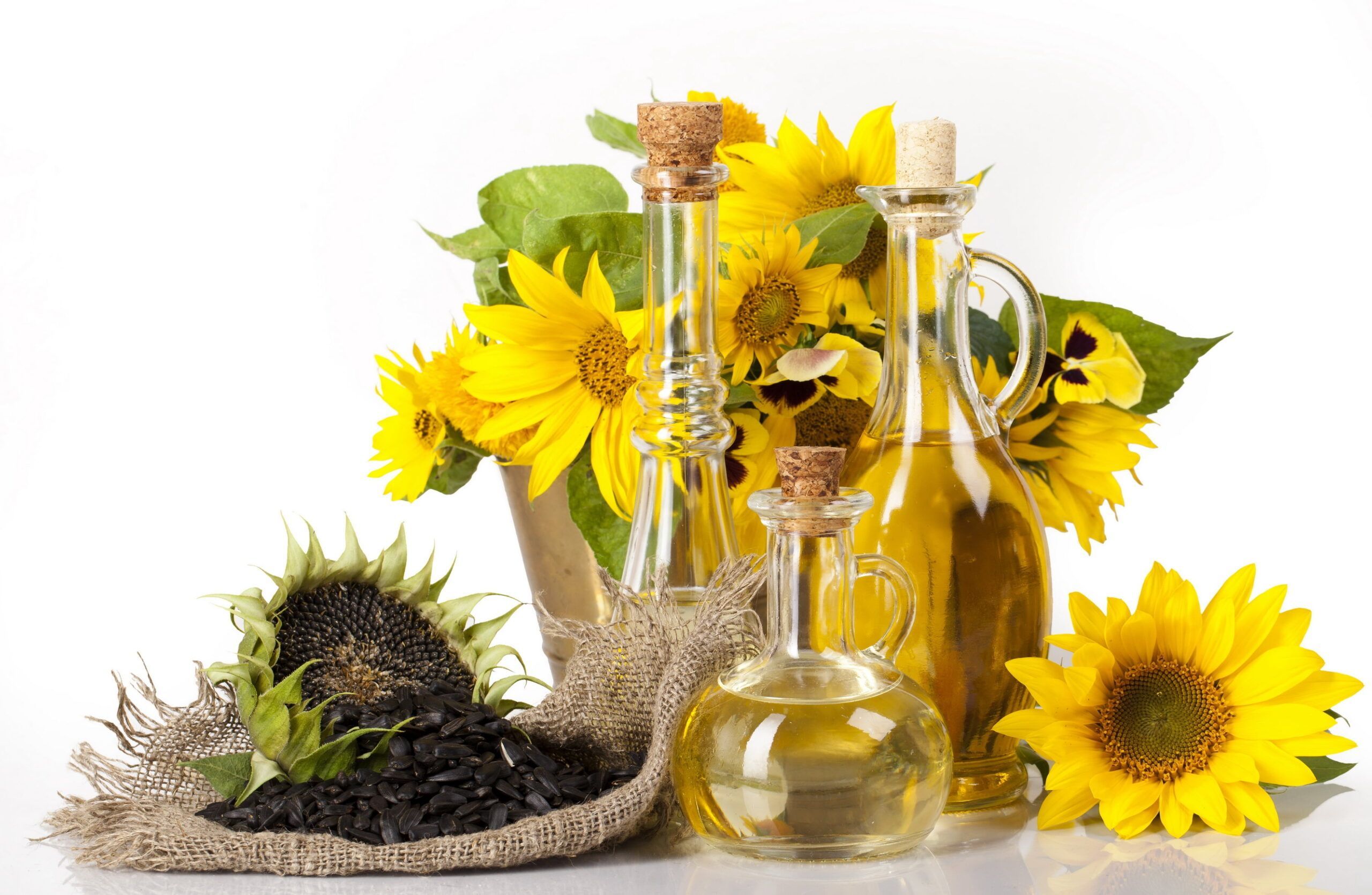 2560x1669 Sunflower Oil
