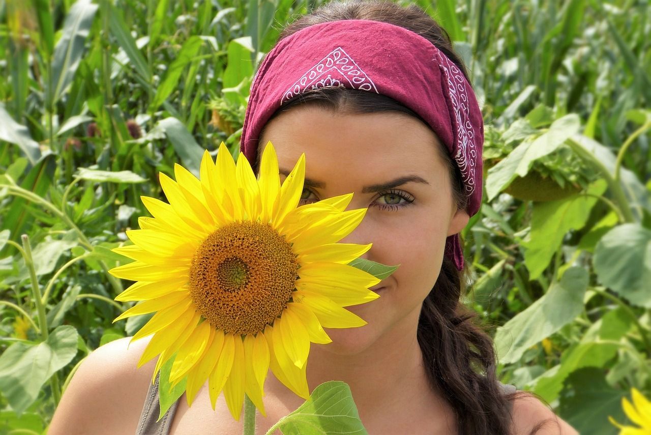 1280x855 Free Sunflower Oil & Sunflower Image
