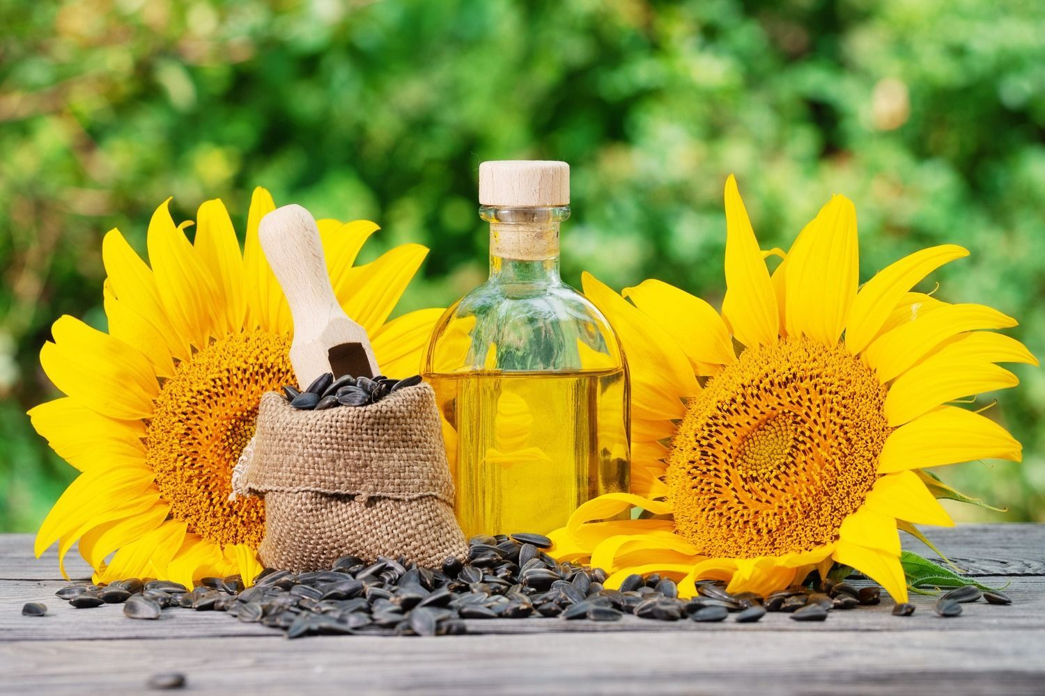 1500x1000 REFINED SUNFLOWER OIL