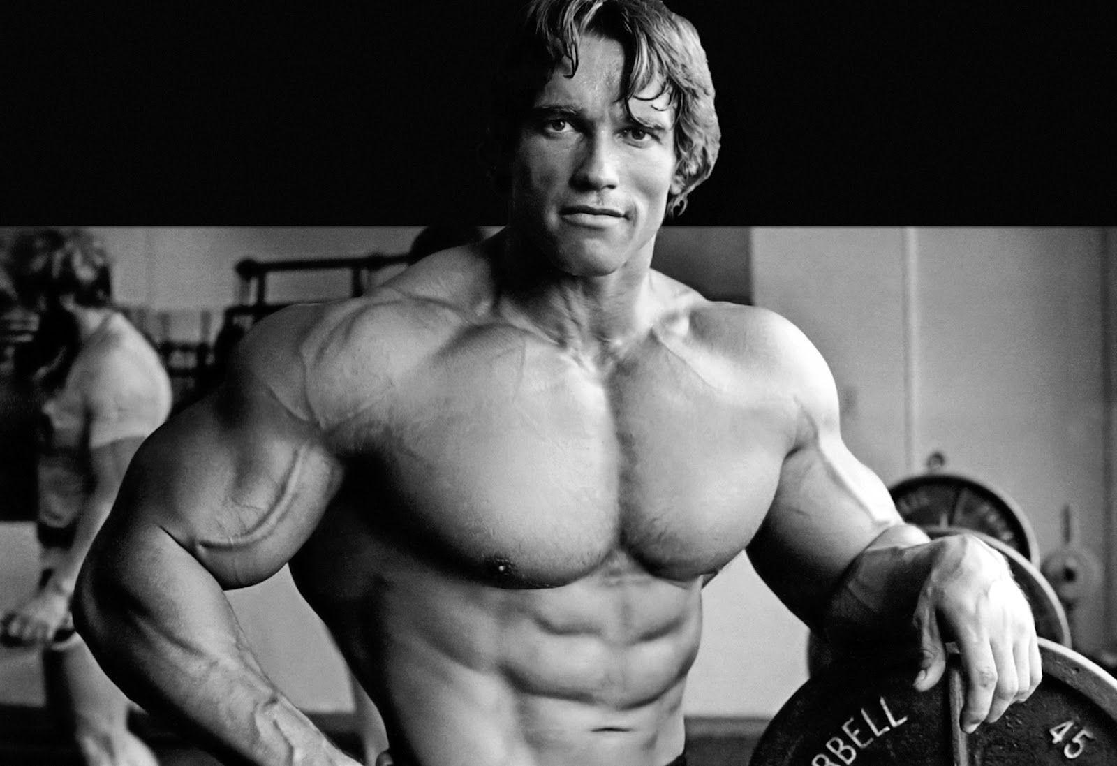 Arnold Schwarzenegger Wallpaper  Arnold Schwarzenegger Bodybuilding   1024x768 Wallpaper  teahubio