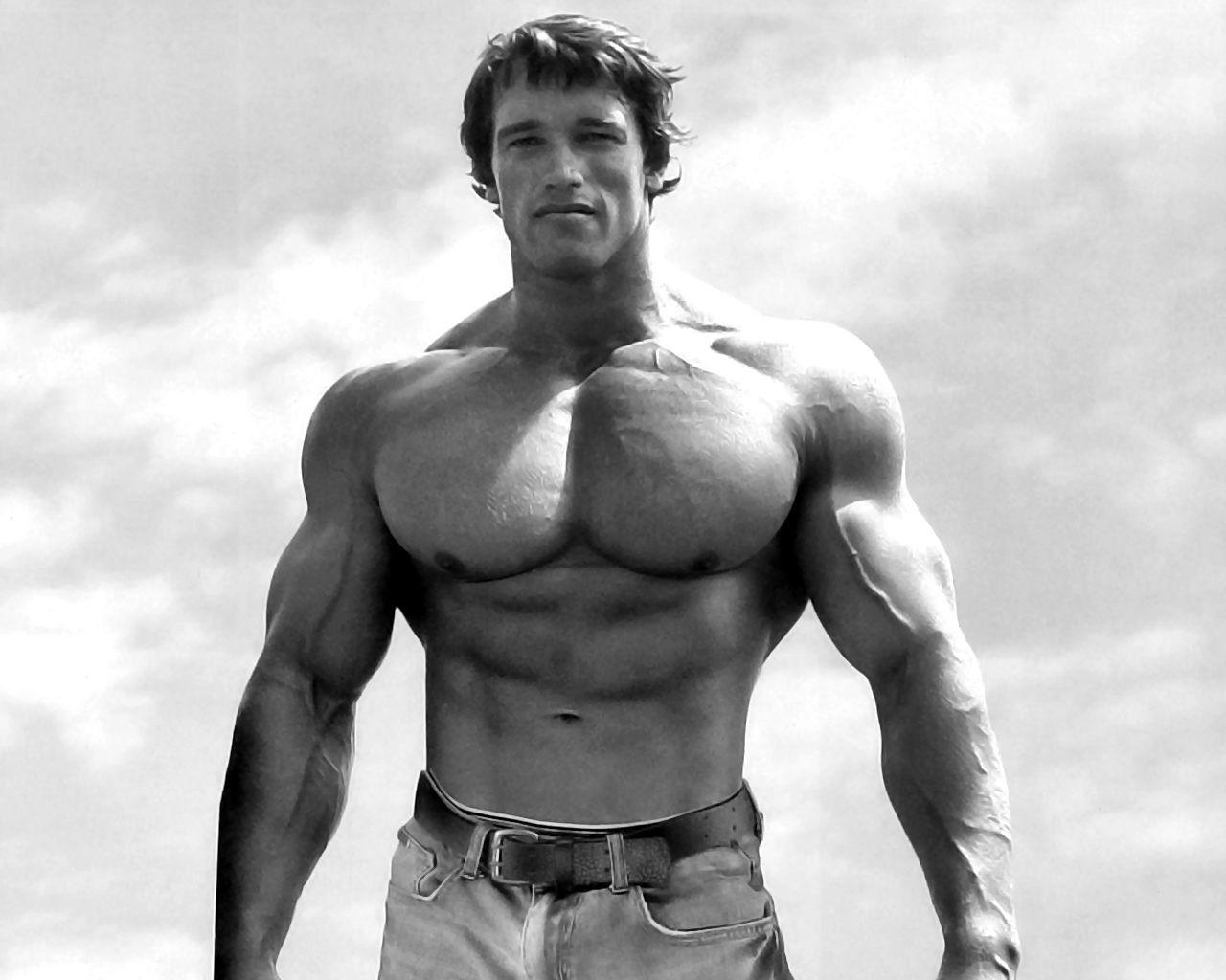 1280x1024 Arnold Schwarzenegger HD Wallpaper