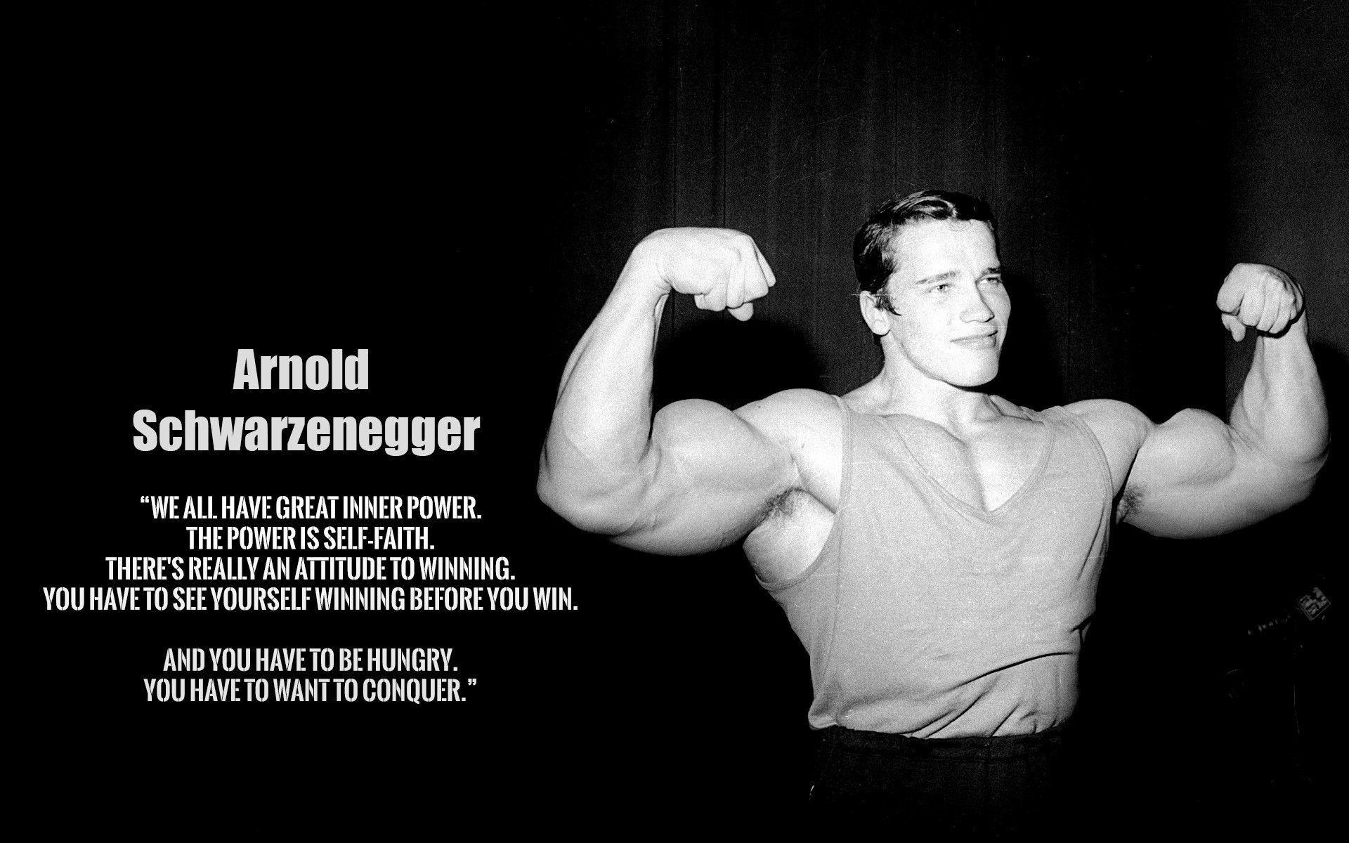 Arnold Schwarzenegger Wallpapers - Top Free Arnold Schwarzenegger