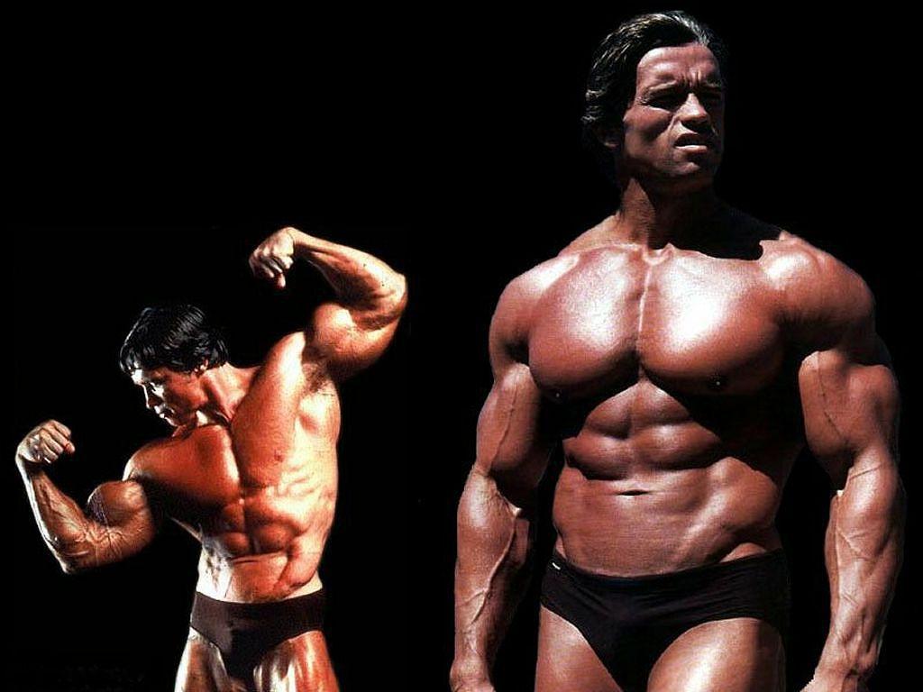 1024x768 Arnold Schwarzenegger Wallpaper