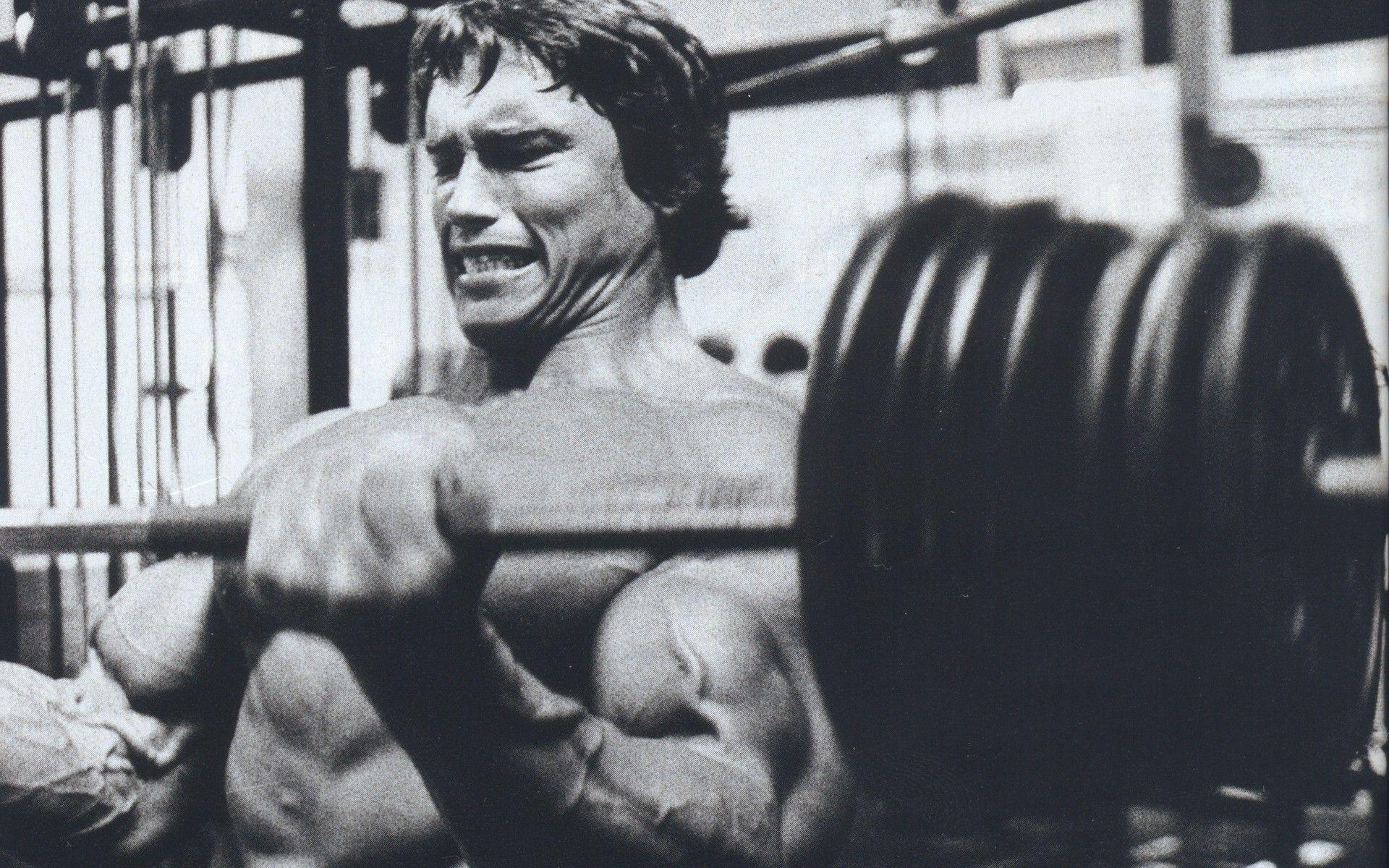 1920x1200 Arnold Schwarzenegger Wallpaper for Desktop