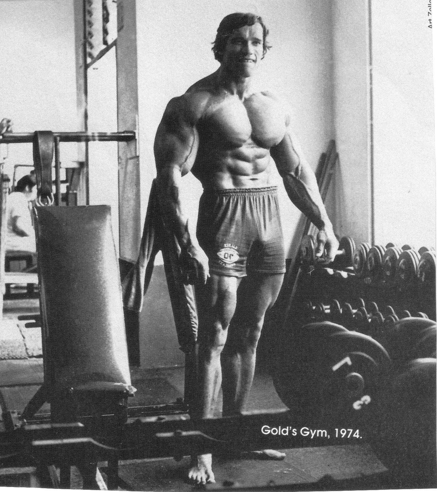 1406x1580 HD wallpaper: Arnold Schwarzenegger, bodybuilding, Bodybuilder