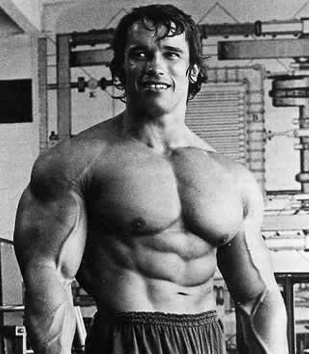1046x1200 Arnold Schwarzenegger Wallpaper #I34B8HS (1046x1200 px). Wallperio