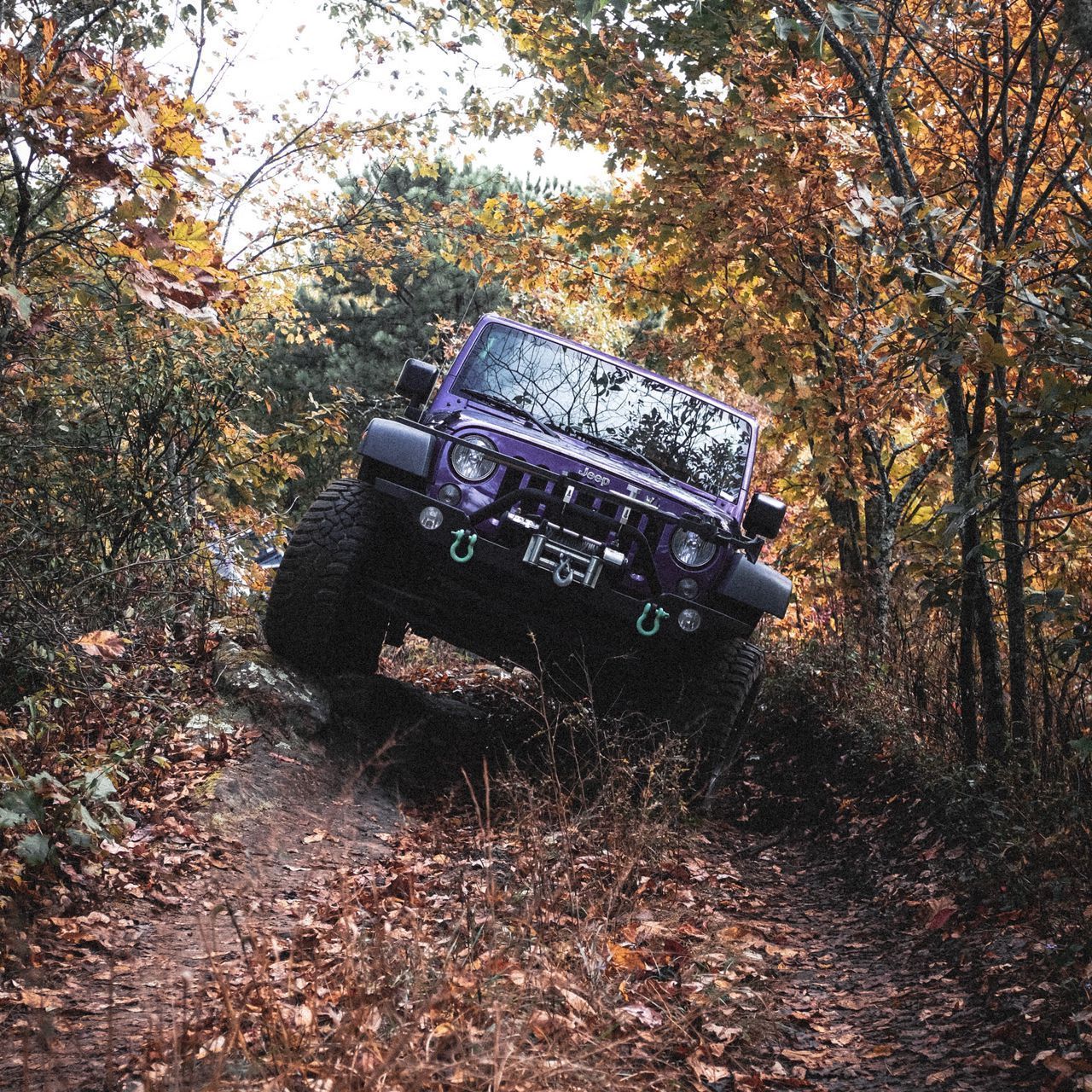 1280x1280 Download wallpaper 1280x1280 jeep wrangler, jeep, car, suv, purple, off road ipad, ipad ipad mini for parallax HD background