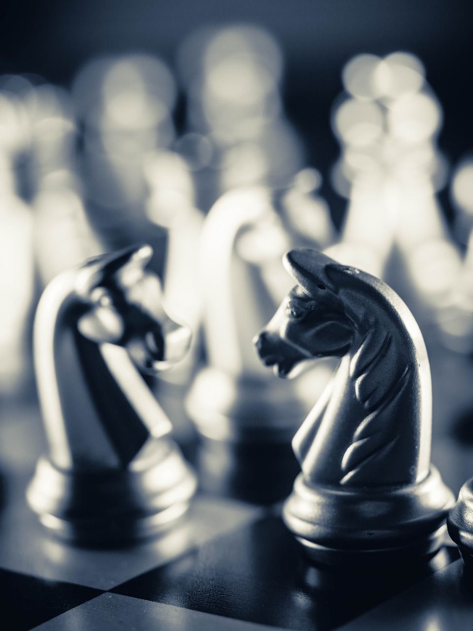 960x1280 Strategy Chess Knight