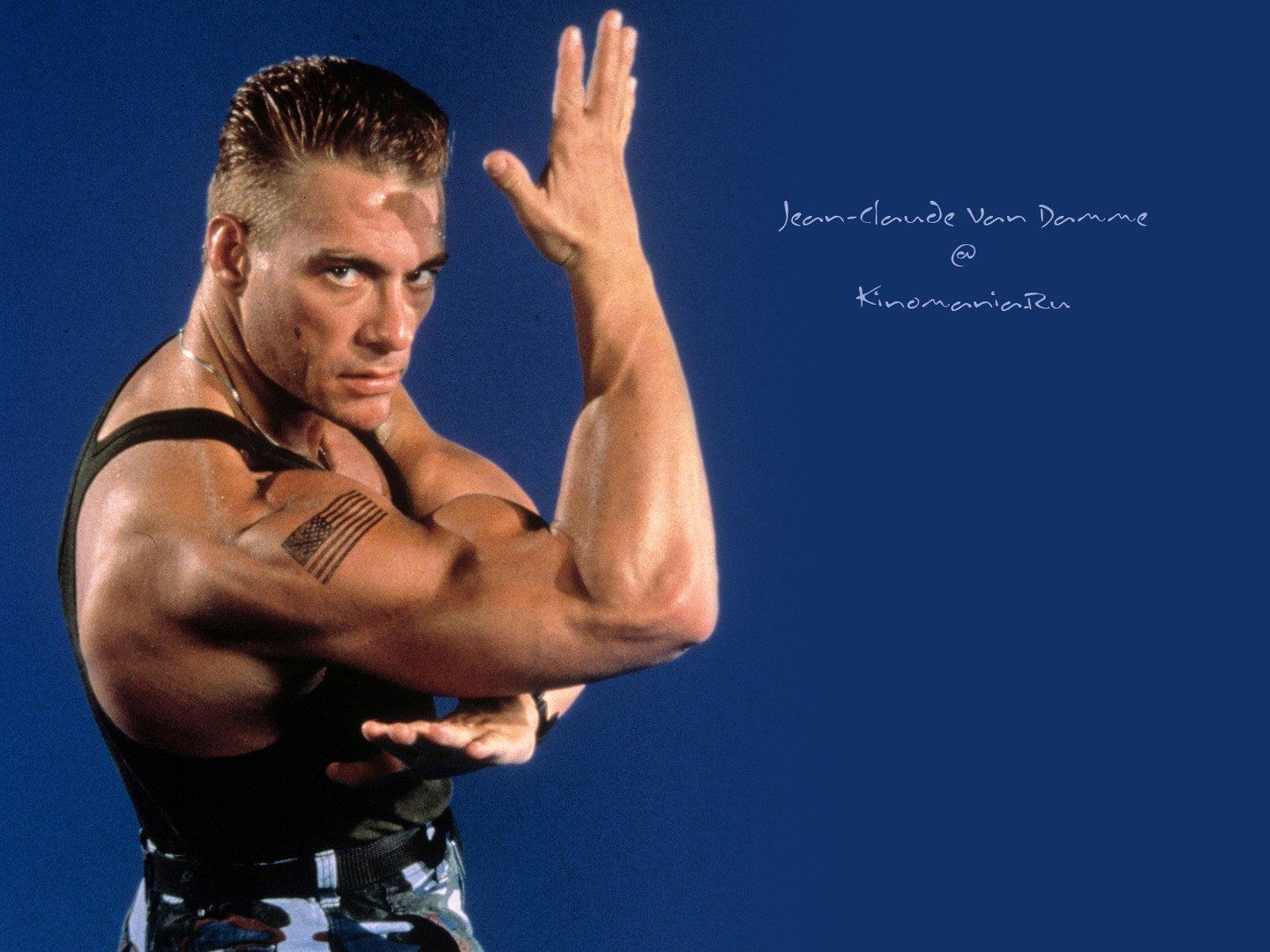 JCVD Wallpapers - Top Free JCVD Backgrounds - WallpaperAccess