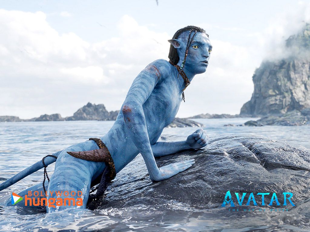 1024x768 Avatar: The Way Of Water (English) 2022 Wallpaper. Avatar: The Way Of Water (English) 2022 HD Image. Photo Avatar The Way Of Water English 11 3