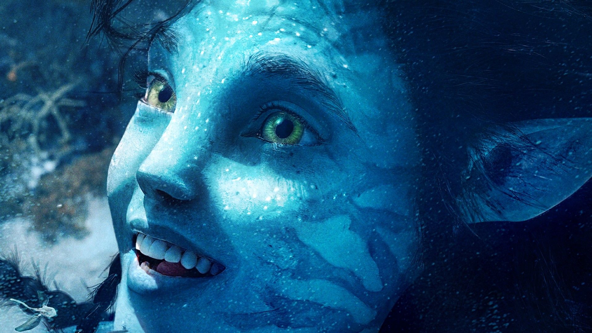 1920x1080 Tuktiery HD Avatar The Way Of Water Wallpaper