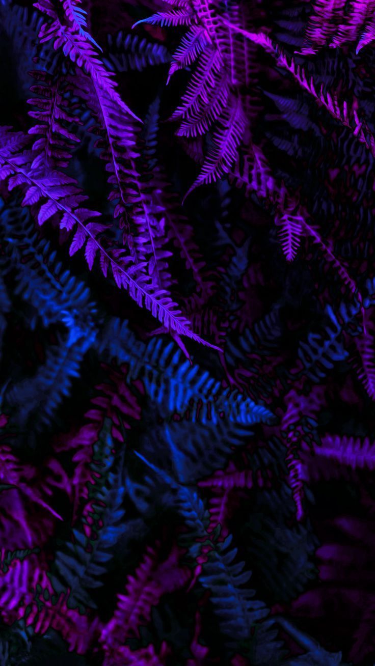736x1308 Neon Jungle. Wallpaper, Texture graphic design, Summer wallpaper