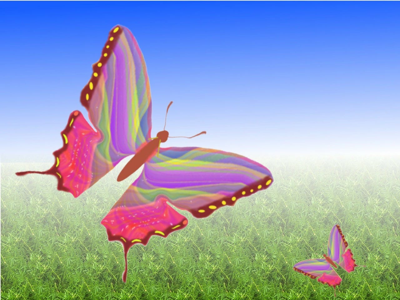 1280x960 Set Free from Sin's Cocoon to Soar Like a Butterfly. by Leona J. Atkinson