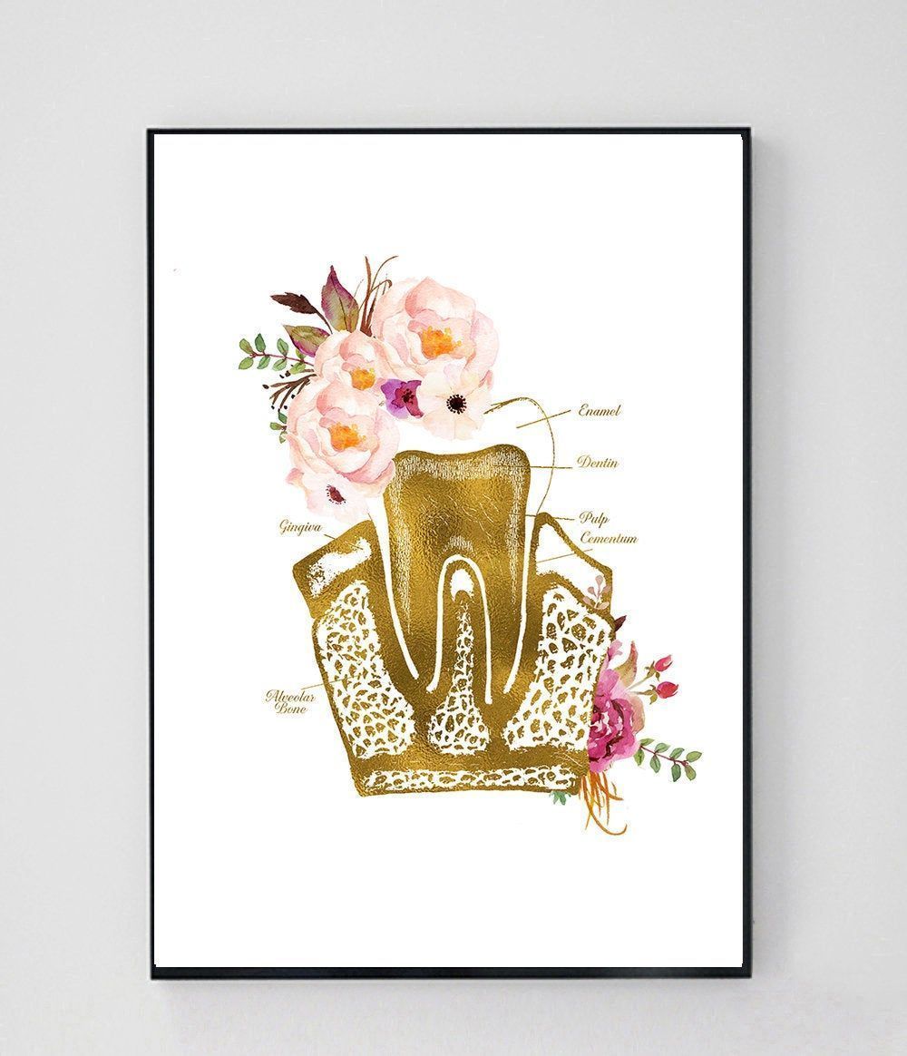 1000x1164 Tooth Anatomy Art Tooth Art Dental Assistant Gift Dental. Décor pour cabinet dentaire, Art dentaire, Soin dentaire