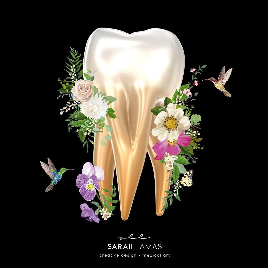 1080x1080 Sarai Llamas on X: «A TOOTH