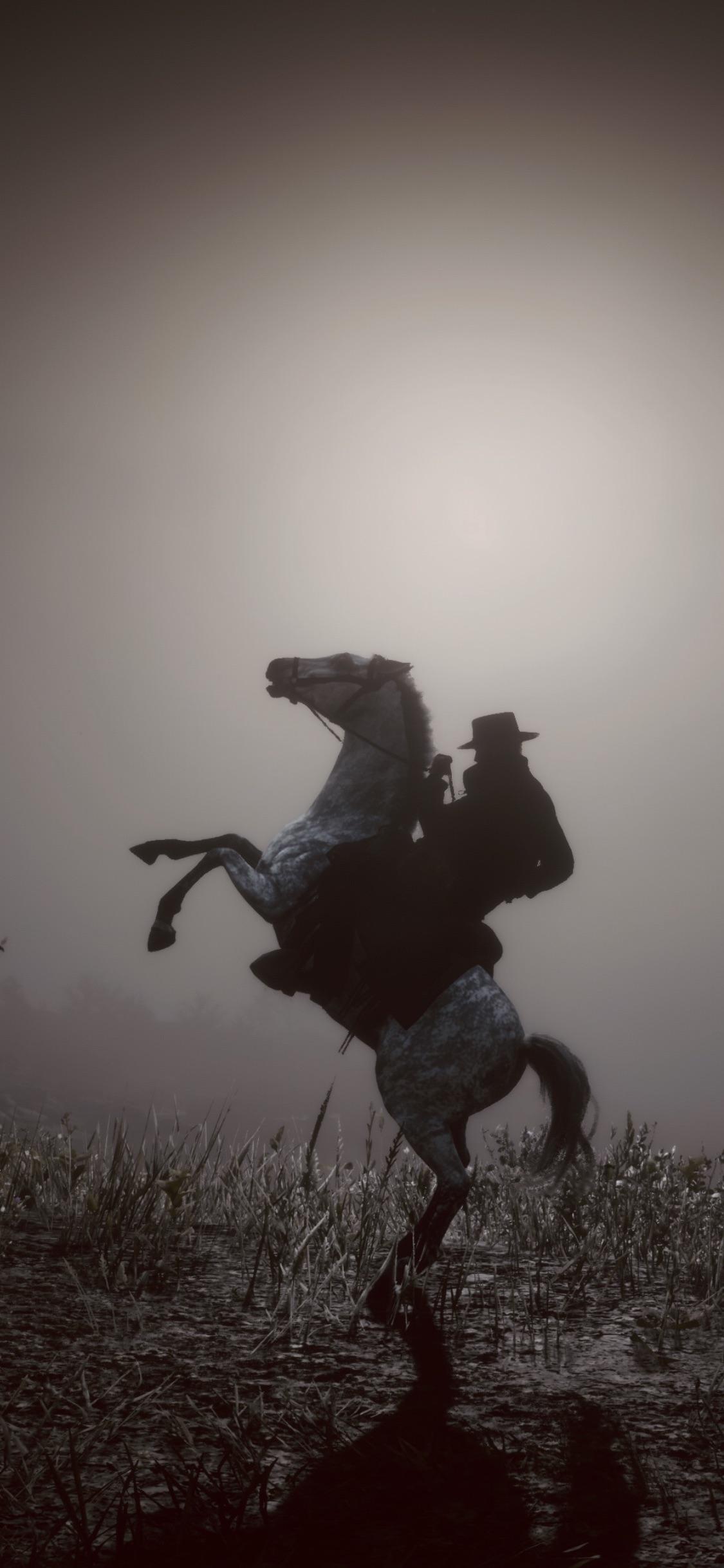1125x2436 IPhone X Wallpaper (in Game Screenshot)