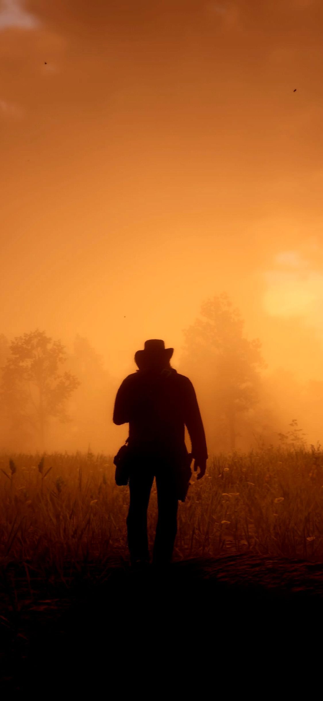 1125x2436 Red Dead Redemption 2 iPhone Wallpaper