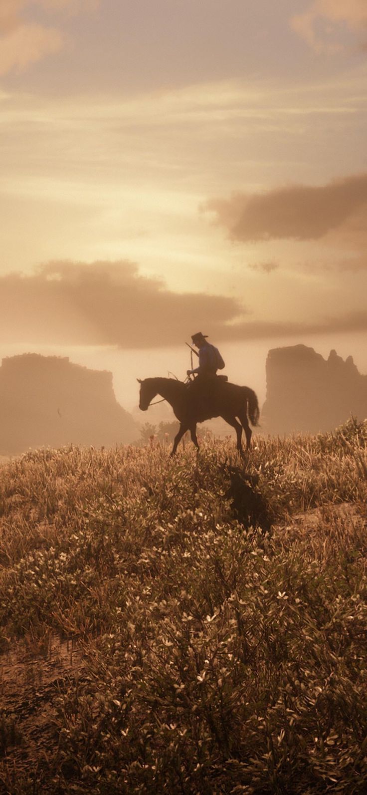736x1593 Red Dead Redemption 2