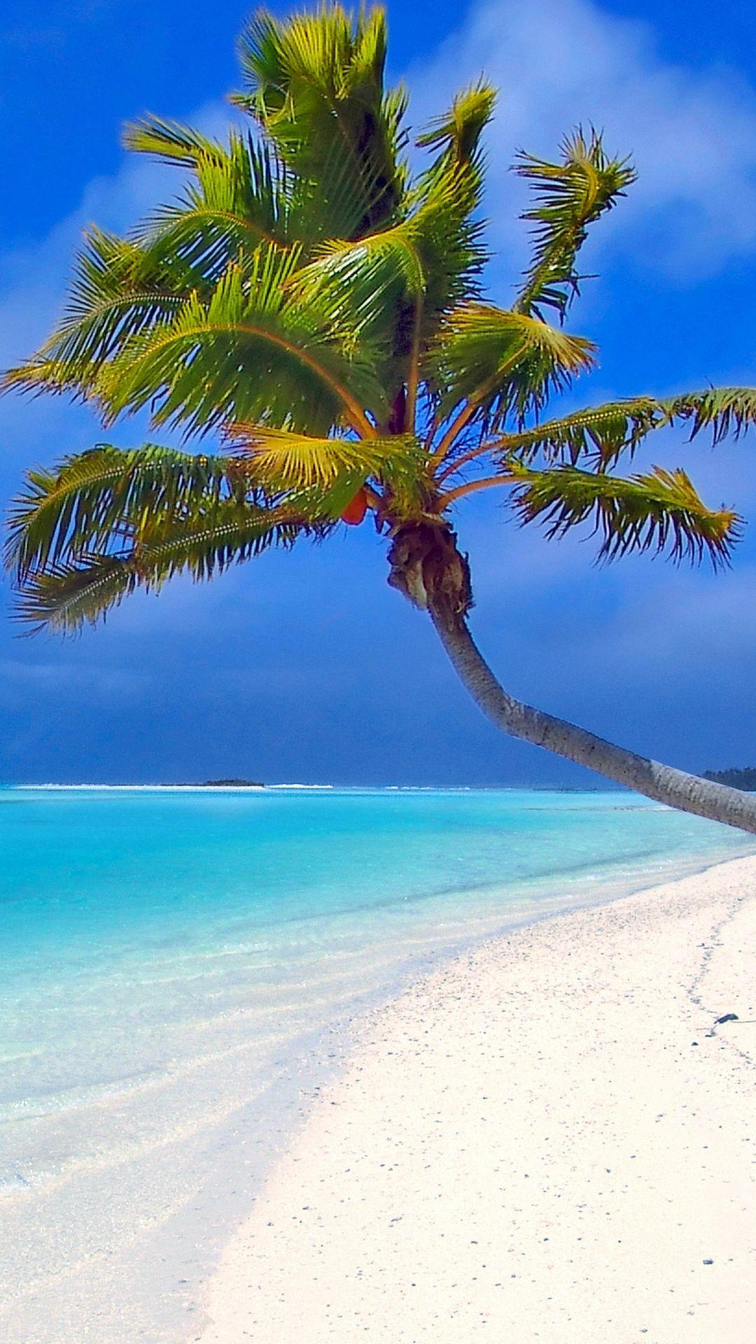 1080x1920 Maldives Beach Palm Trees Sand Sea Wallpaper - [1080x1920]