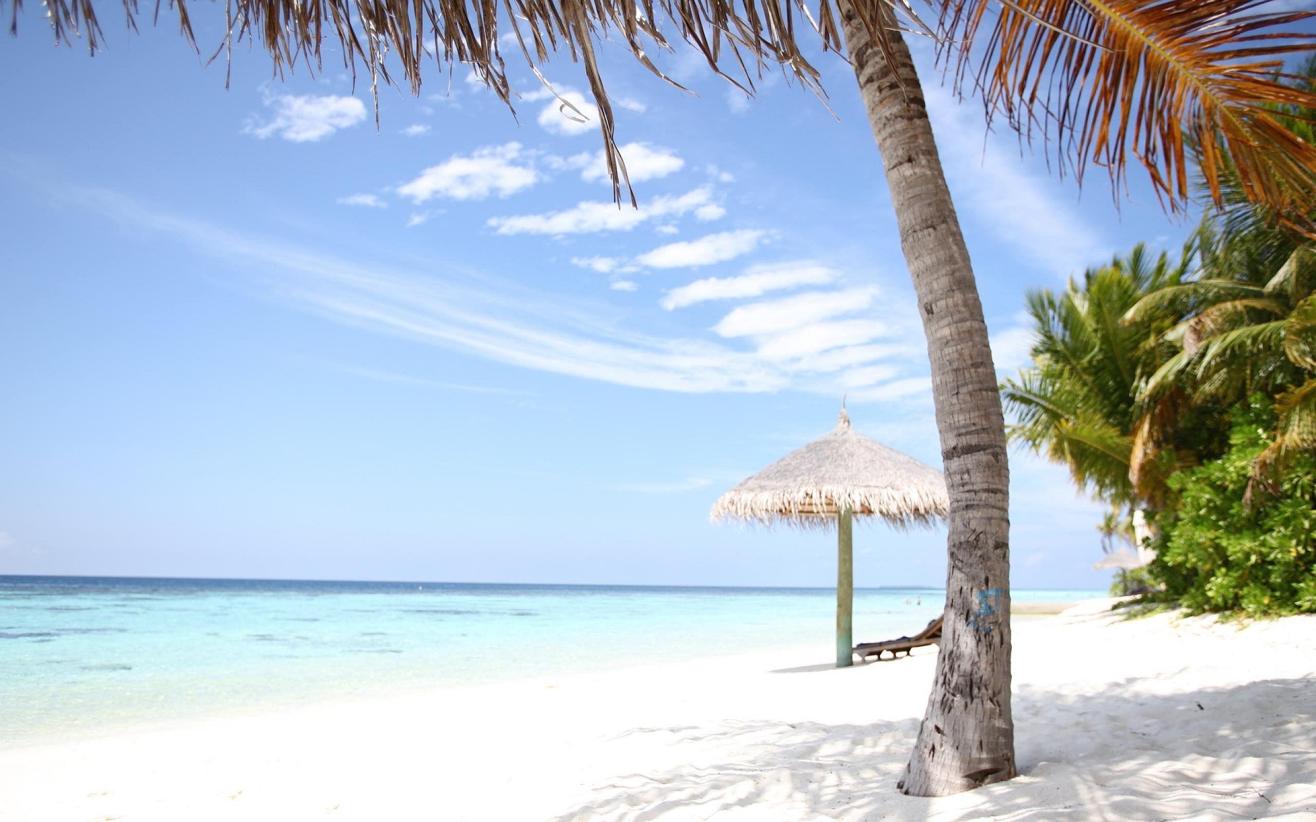 2560x1600 Seychelles Beach