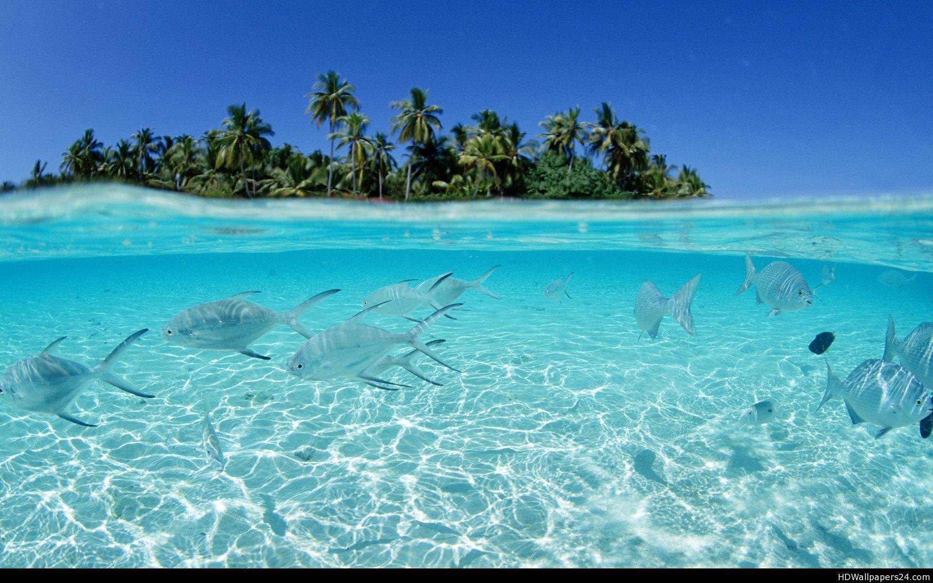 1920x1200 Maldives Beach Wallpaper
