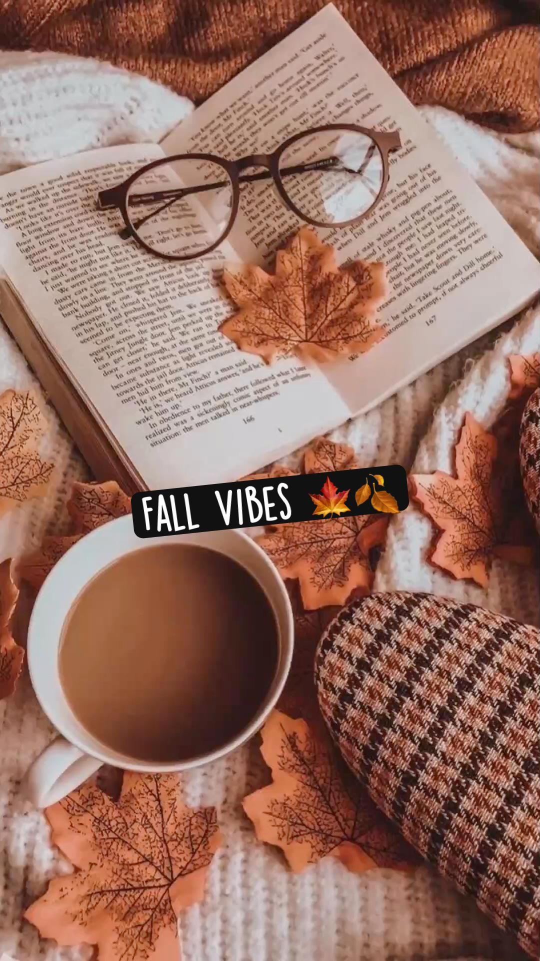 Autumn Vibes Wallpapers - Top Free Autumn Vibes Backgrounds