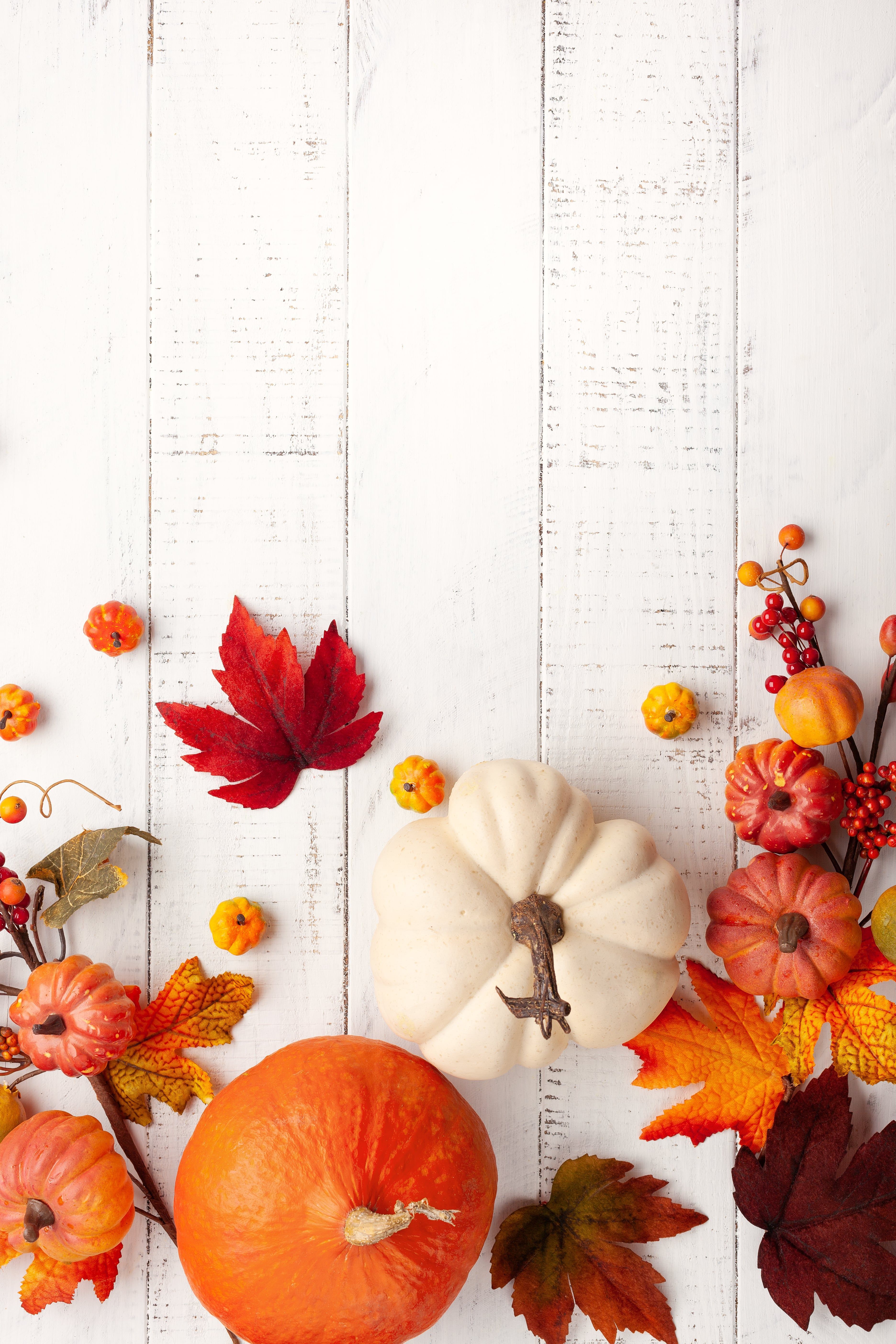 3744x5616 Fall iPhone Wallpaper