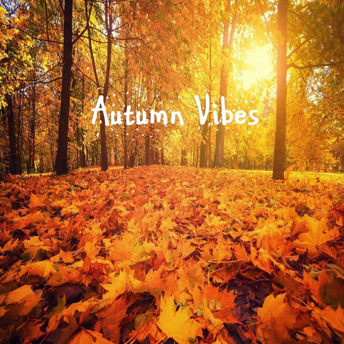 1200x1200 Autumn Vibes. Fear 2 Stop