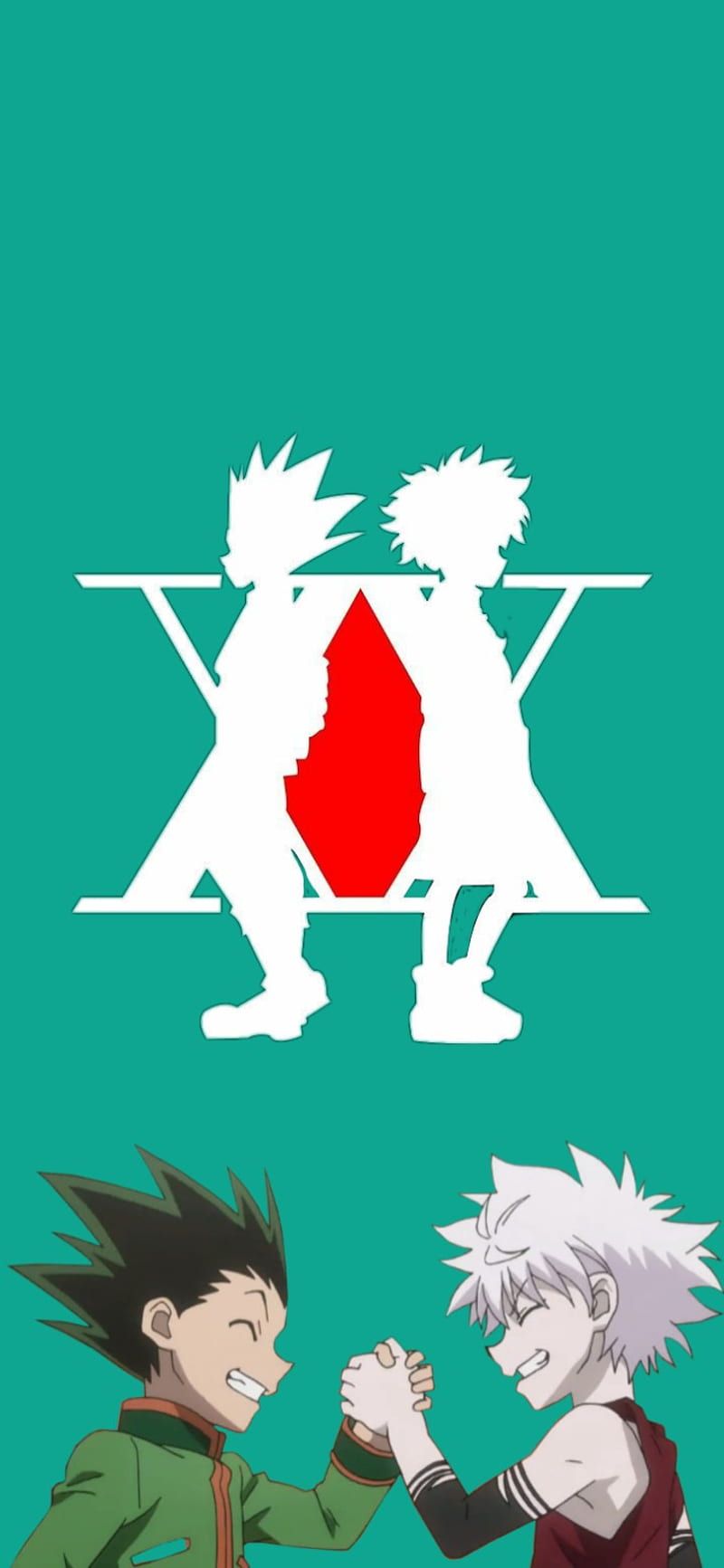 800x1733 Hunter x Hunter, anime, gon, green, hunterxhunter, hunterxhunterlogo, killua, HD phone wallpaper