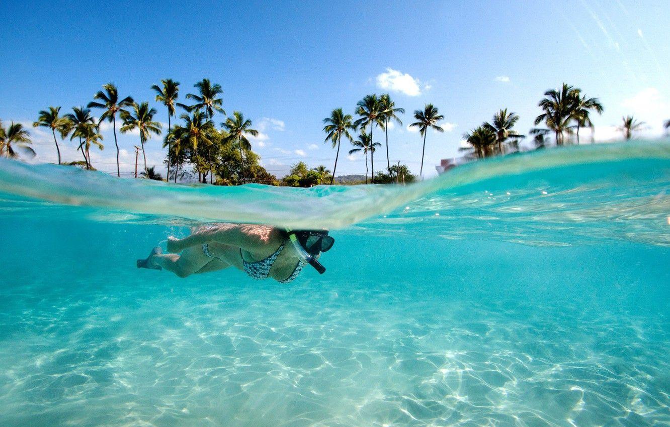 1332x850 Wallpaper water, transparency, palm trees, Seychelles, exotic