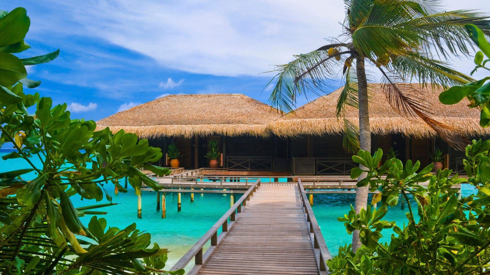 1920x1080 Beach Bridge Water Cabin Palm Sea Pier Seychelles Wallpaper
